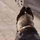 Floppy emote for Discord