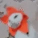 FlowerCatJAM emote for Discord