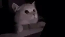 FLASHBANG emote for Discord