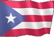 flagPuertoRico emote for Discord