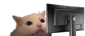 FLASHBANG emote for Discord