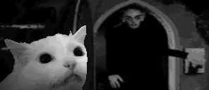 FLASHBANG emote for Discord