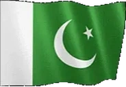flagPakistan emote for Discord