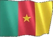 flagCameroon emote for Discord