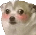 Flushdoggo emote for Discord
