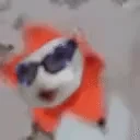 FlowerCatChestJAM emote for Discord