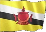 flagBrunei emote for Discord