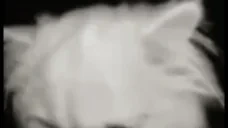 flashbang emote for Discord