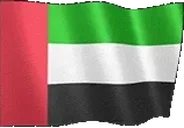 flagUnitedArabEmirates emote for Discord