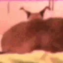 floppatwerk emote for Discord