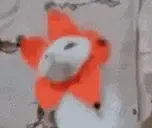 FlowerCat emote for Discord