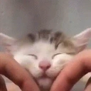 Floof emote for Discord