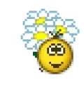 flowers emote for Discord