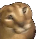 floppaDrill emote for Discord