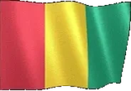 flagGuinea emote for Discord