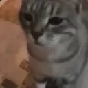 FlipU emote for Discord