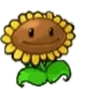flower emote for Discord