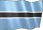 flagBotswana emote for Discord