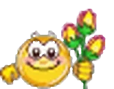 Flowers emote for Discord