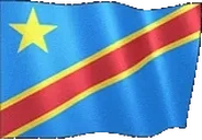 flagDemocraticRepublicOfTheCongo emote for Discord