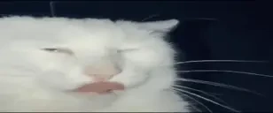 flashbangg emote for Discord