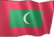 flagMaldives emote for Discord