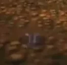 FlikTooDank emote for Discord