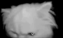 flashed emote for Discord