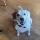 floyd emote for Discord