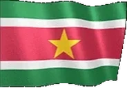 flagSuriname emote for Discord