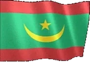 flagMauritania emote for Discord
