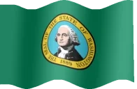 flagWashington emote for Discord
