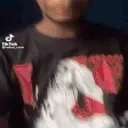 Fl8tioWildin emote for Discord