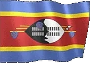 flagEswatini emote for Discord