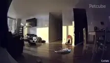 FLASHBANG emote for Discord