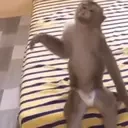 FlatteredMonkey emote for Discord