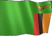 flagZambia emote for Discord