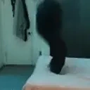 flip emote for Discord