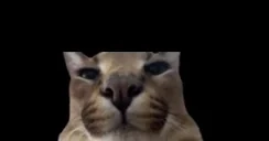 FloppaStrike emote for Discord