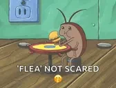 FLEA emote for Discord