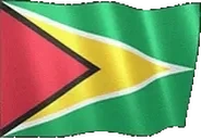 flagGuyana emote for Discord