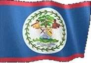 flagBelize emote for Discord