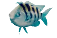 Flounder emote for Discord