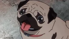 FLASHBANG emote for Discord