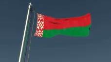 flagBelarus emote for Discord