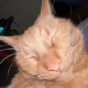 FLASHBANG emote for Discord