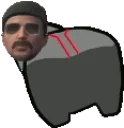 FlopSussy emote for Discord