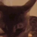 Flabbergasted emote for Discord