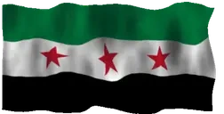 flagSyria emote for Discord