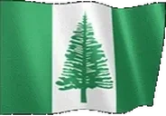 flagNorfolkIsland emote for Discord